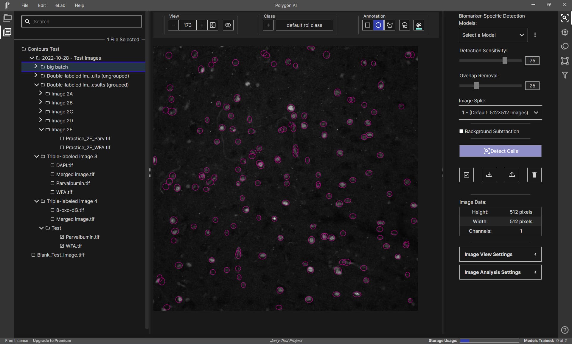 Image for polygonAi
