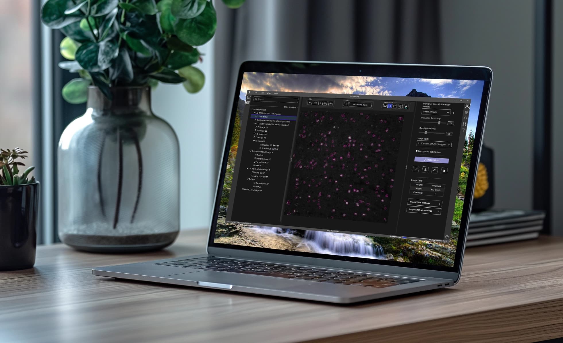 Polygon AI main interface