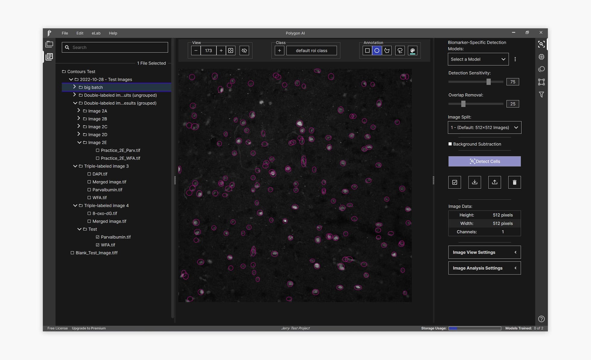 Polygon AI final main screen